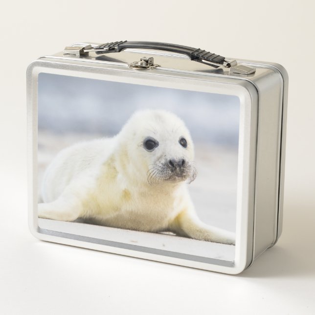 Getty Images | Baby Seal Metal Lunch Box (Front)