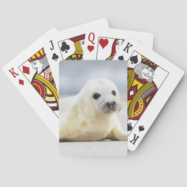 Getty Images | Baby Seal Playing Cards (Back)