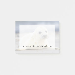 Getty Images   Baby Seal Post-it Notes