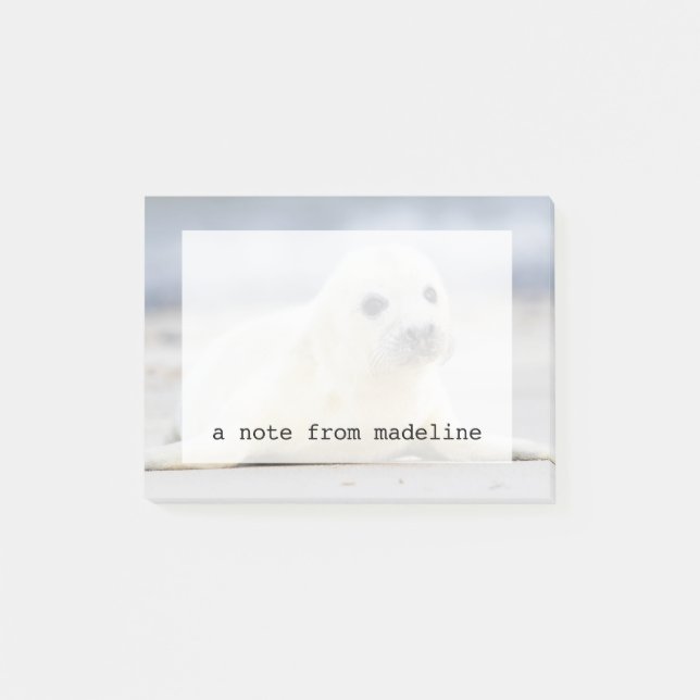 Getty Images | Baby Seal Post-it Notes (Front)