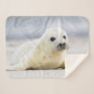 Getty Images   Baby Seal Sherpa Blanket