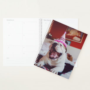 Getty Images British Bulldog Planner