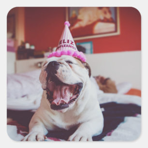 Getty Images British Bulldog Square Sticker