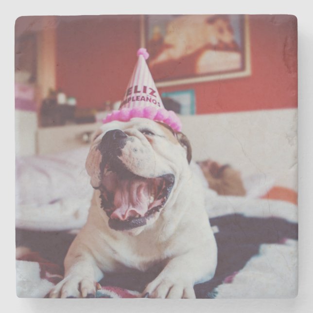 Getty Images | British Bulldog Stone Coaster (Front)