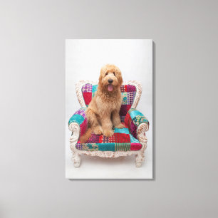 Getty Images   Cute Goldendoodle Canvas Print