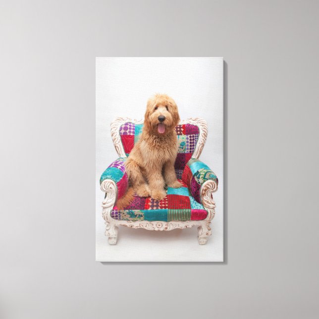 Getty Images | Cute Goldendoodle Canvas Print (Front)