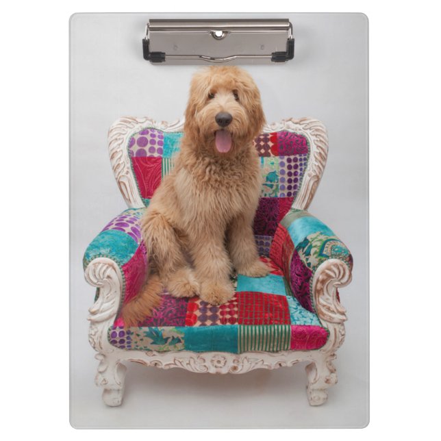 Getty Images | Cute Goldendoodle Clipboard (Front)
