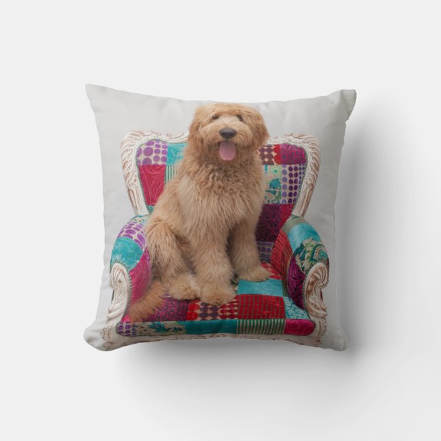 Getty Images | Cute Goldendoodle Cushion (Front)
