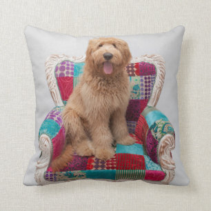 Getty Images Cute Goldendoodle Cushion