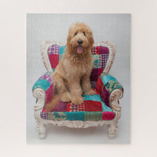 Getty Images   Cute Goldendoodle Jigsaw Puzzle