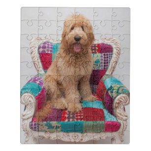 goldendoodle jigsaw puzzle