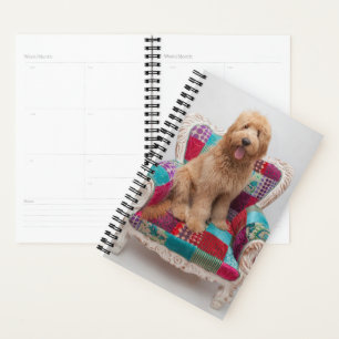 Getty Images Cute Goldendoodle Planner