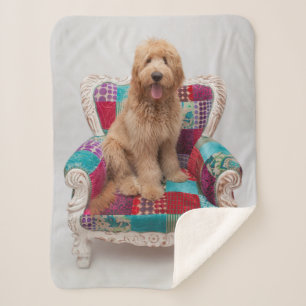 Getty Images Cute Goldendoodle Sherpa Blanket