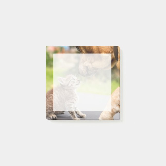 Getty Images | Dog & Cat In Love Post-it Notes (Front)