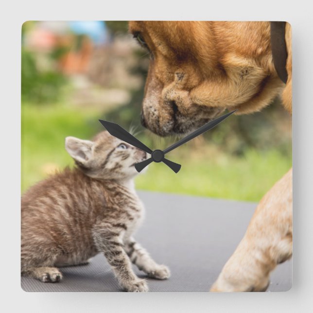 Getty Images | Dog & Cat In Love Square Wall Clock (Front)