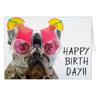 Getty Images   Dog With Cocktail Glasses