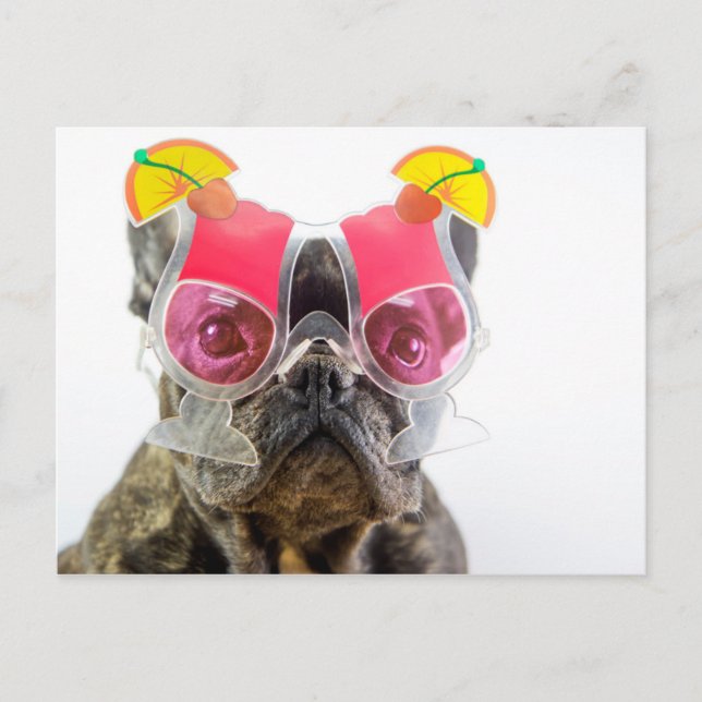 Getty Images | Dog With Cocktail Glasses Postcard (Front)