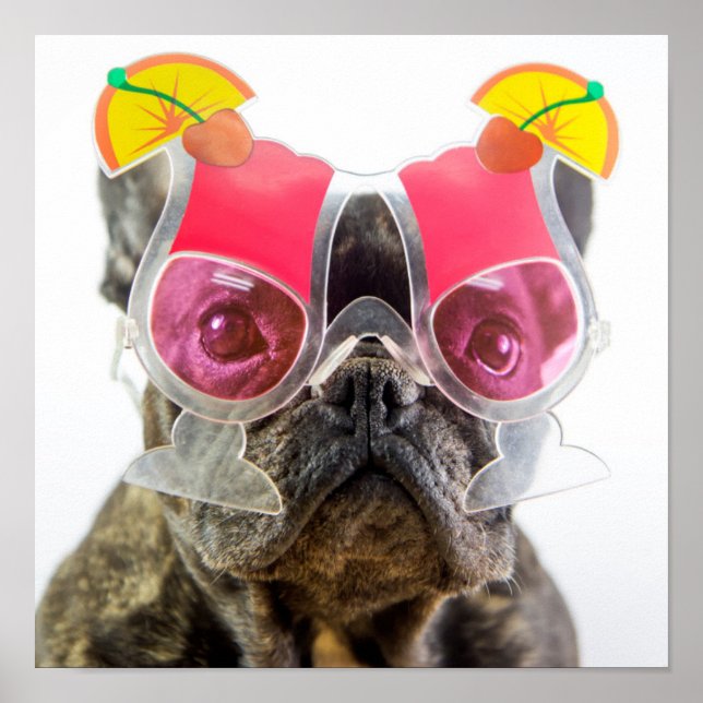 Getty Images | Dog With Cocktail Glasses Poster (Front)