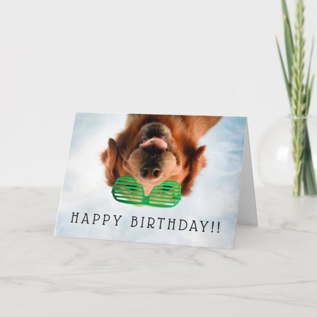 Getty Images | Dog With Glasses Card (Front)