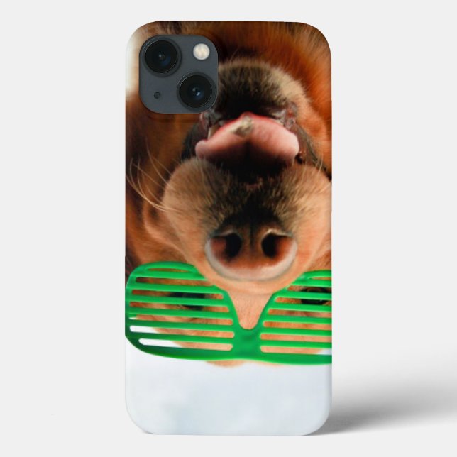 Getty Images | Dog With Glasses Case-Mate iPhone Case (Back)