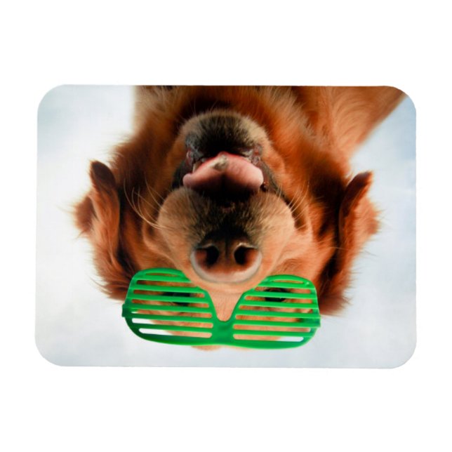 Getty Images | Dog With Glasses Magnet (Horizontal)