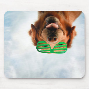 Getty Images Dog With Glasses Mouse Mat