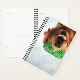 Getty Images   Dog With Glasses Planner