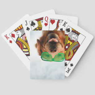 Getty Images Dog With Glasses Playing Cards