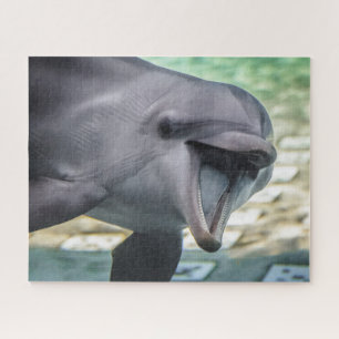 Getty Images   Dolphin Jigsaw Puzzle