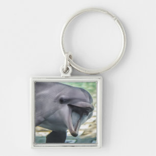 Getty Images   Dolphin Key Ring