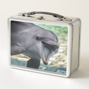 Getty Images Dolphin Metal Lunch Box