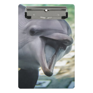 Getty Images   Dolphin Mini Clipboard