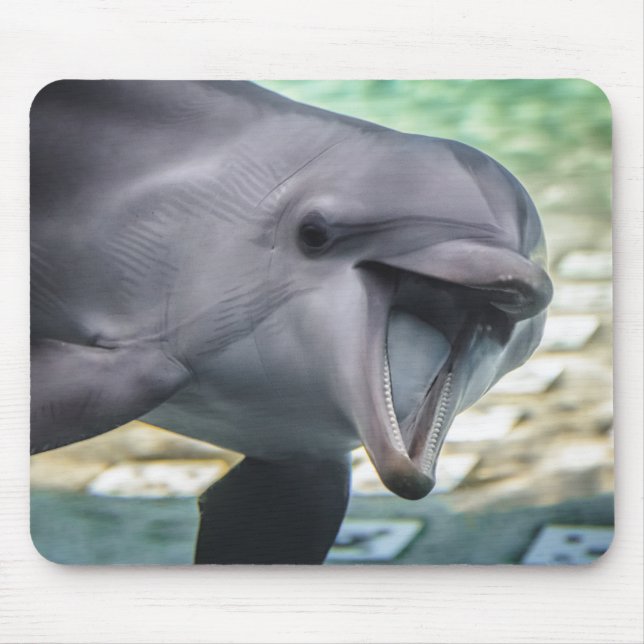 Getty Images | Dolphin Mouse Mat (Front)