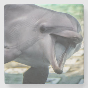 Getty Images Dolphin Stone Coaster