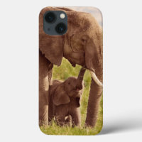 Getty Images | Elephant & Baby