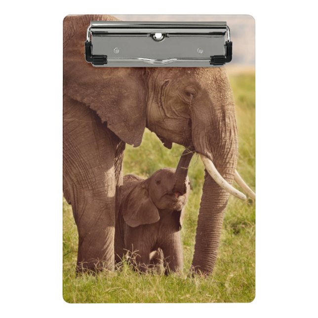 Getty Images | Elephant & Baby Mini Clipboard (Front)