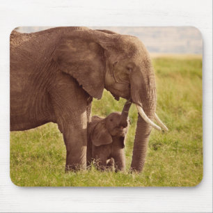Getty Images   Elephant & Baby Mouse Mat