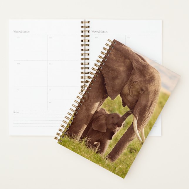 Getty Images | Elephant & Baby Planner (Display)