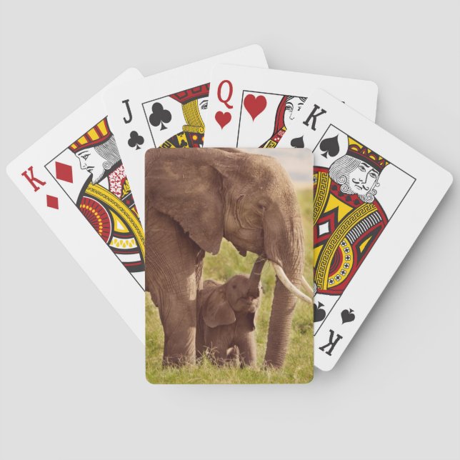Getty Images | Elephant & Baby Playing Cards (Back)
