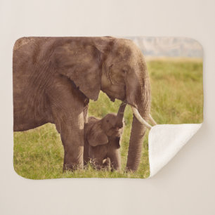 Getty Images   Elephant & Baby Sherpa Blanket