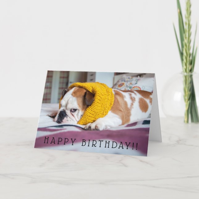 Getty Images | English Bulldog Card (Front)