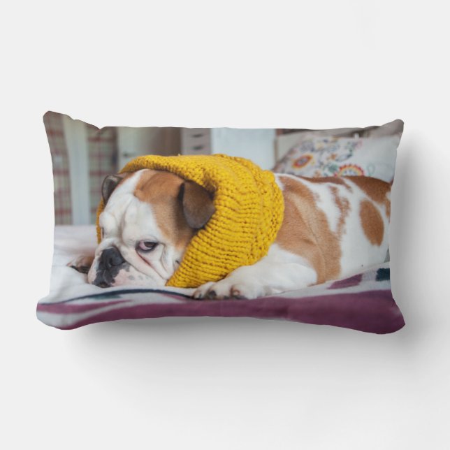Getty Images | English Bulldog Lumbar Cushion (Front)