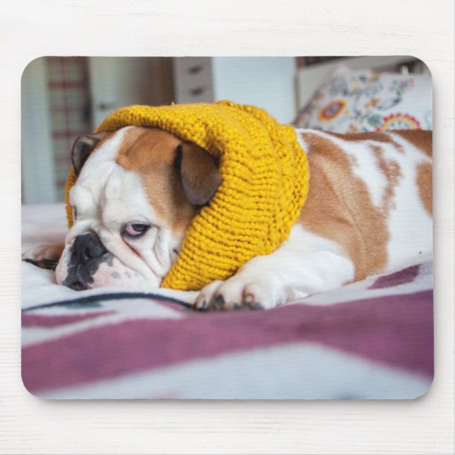 Getty Images | English Bulldog Mouse Mat (Front)