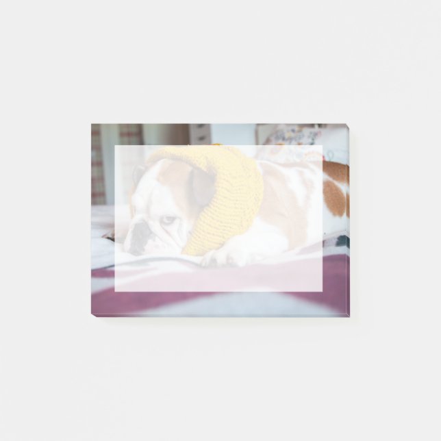 Getty Images | English Bulldog Post-it Notes (Front)