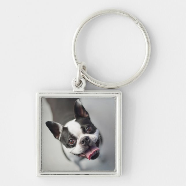 Getty Images | French Bulldog Key Ring (Front)