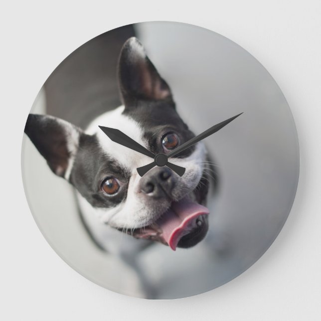 Getty Images | French Bulldog Large Clock (Front)