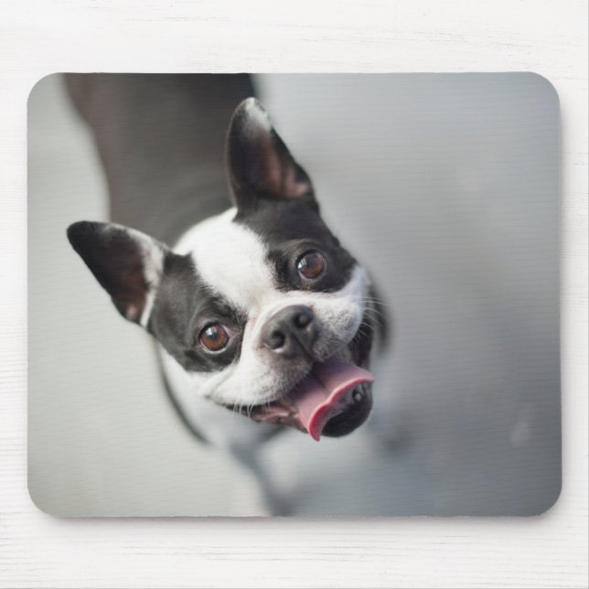 Getty Images | French Bulldog Mouse Mat (Front)