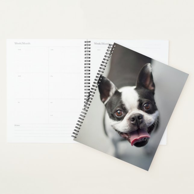 Getty Images | French Bulldog Planner (Display)
