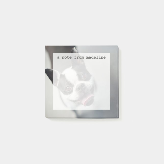 Getty Images | French Bulldog Post-it Notes (Front)