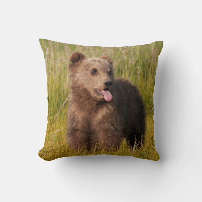 Getty Images | Funny Baby Bear Cushion (Front)